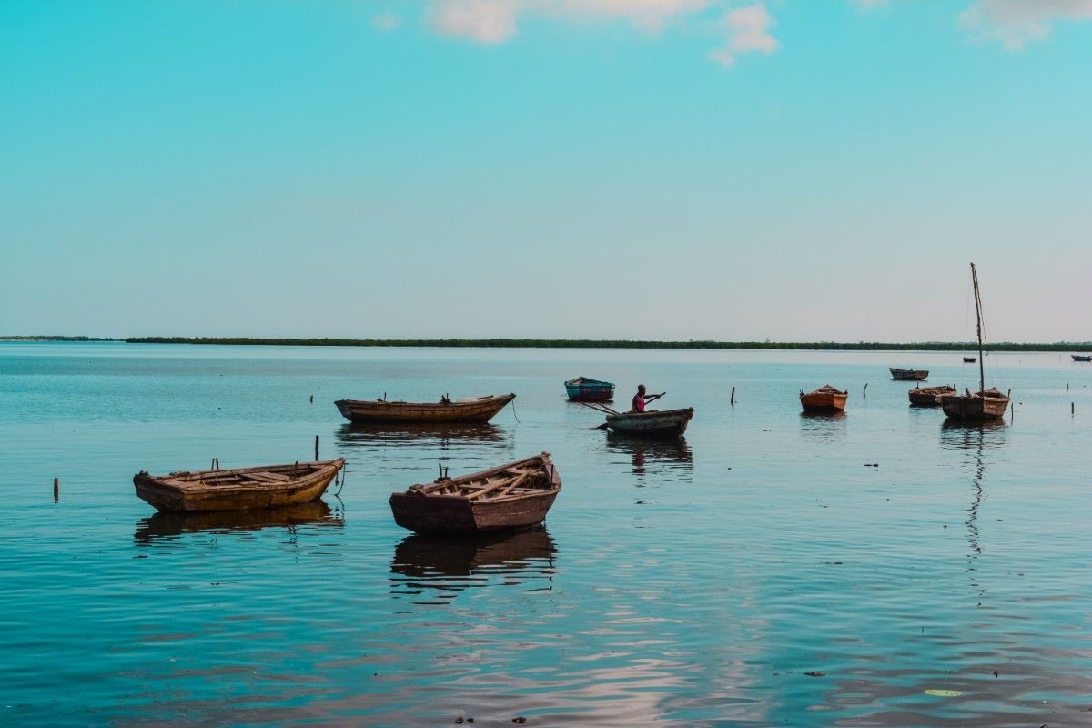 Chilka_Lake_Dolphin_point_view_odisha_puri (2) Trusted Travel Agency in Puri