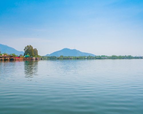 Only for Odisha Tourism | Best City Tour and Travels