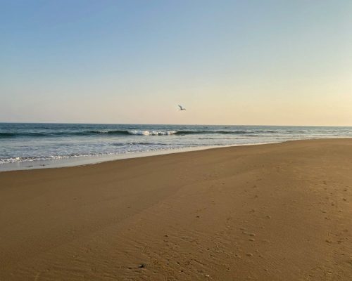 PuriBeachJagannathPuri_PURITRAVELS_OdishaOrissa